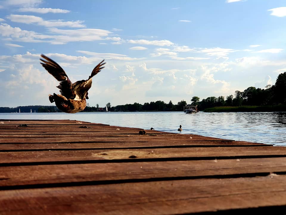 Nabrzeże i zabudowa przystani