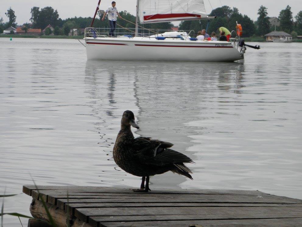 Przystań od strony wody